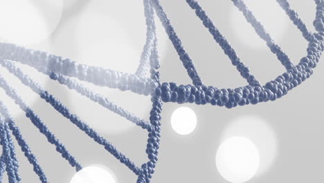 Animation of dna strand and spots of light on grey background