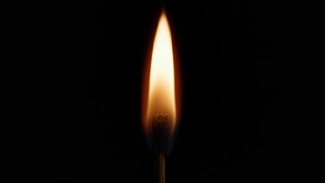 macro closeup of a match igniting, being lit, and burning against a black background