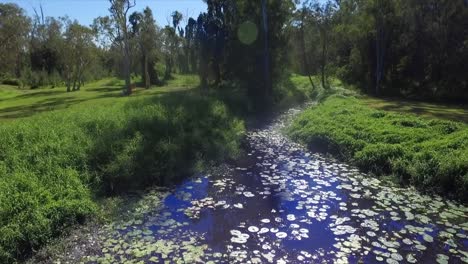 Tiro-Bajo-De-Un-Dron-Aéreo-Moviéndose-Lentamente-Por-Un-Encantador-Canal-De-Bosque-Con-Nenúfares