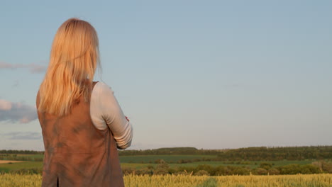 a woman looks at a picturesque landscape with a field of wheat. back view