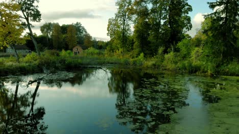 aerial footage on a small pond in the middle of the village, trees around the pond and high grass on the edge of the water reservoir, old house in the background