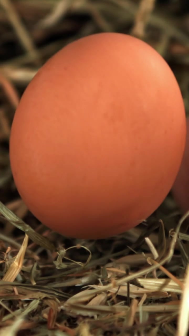 Fresh Brown Eggs Gently Placed in a Hay Nest