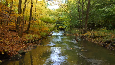 Río-A-Través-Del-Bosque-De-Otoño