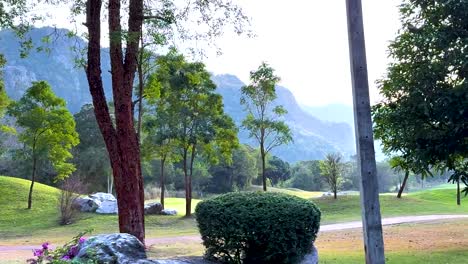 A serene view of a park with scattered trees, rocks, and distant hills under a clear sky.