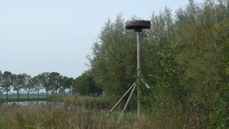 closing up video of a specially build storks nest