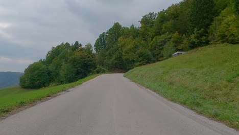 driving down an asphalt road crossing forest on a sunny summer day