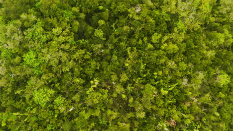 la naturaleza no es un lugar, es un hogar.