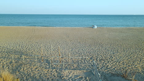 aerial flight over sunny sandy beach on baltic sea in hel poland dolly backwards