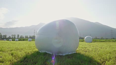 Bale-Of-Hay-Wrapped-In-White-Plastic-Sheeting-On-Field-On-Sunny-Day-With-Lens-Flare