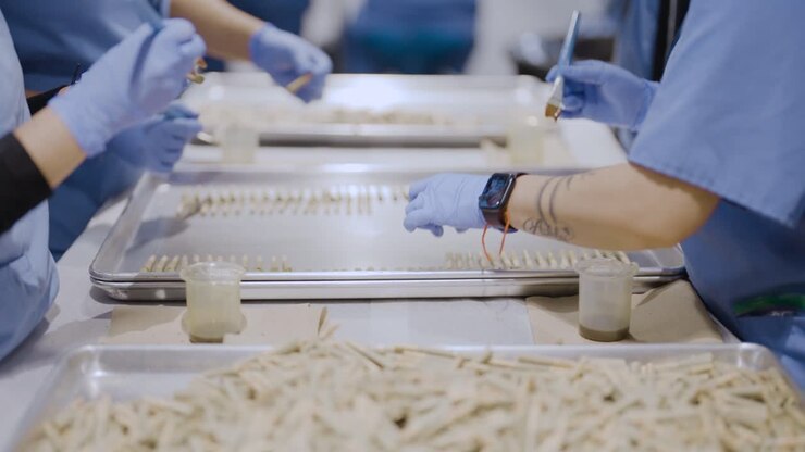 Close-up shot of Workers applying kief infusion on Pre-roll joints, Cannabis production concept