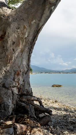 wild beach in greece in vertical