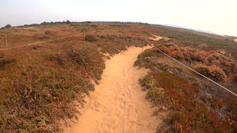 fort ord dunes state park in marina, california