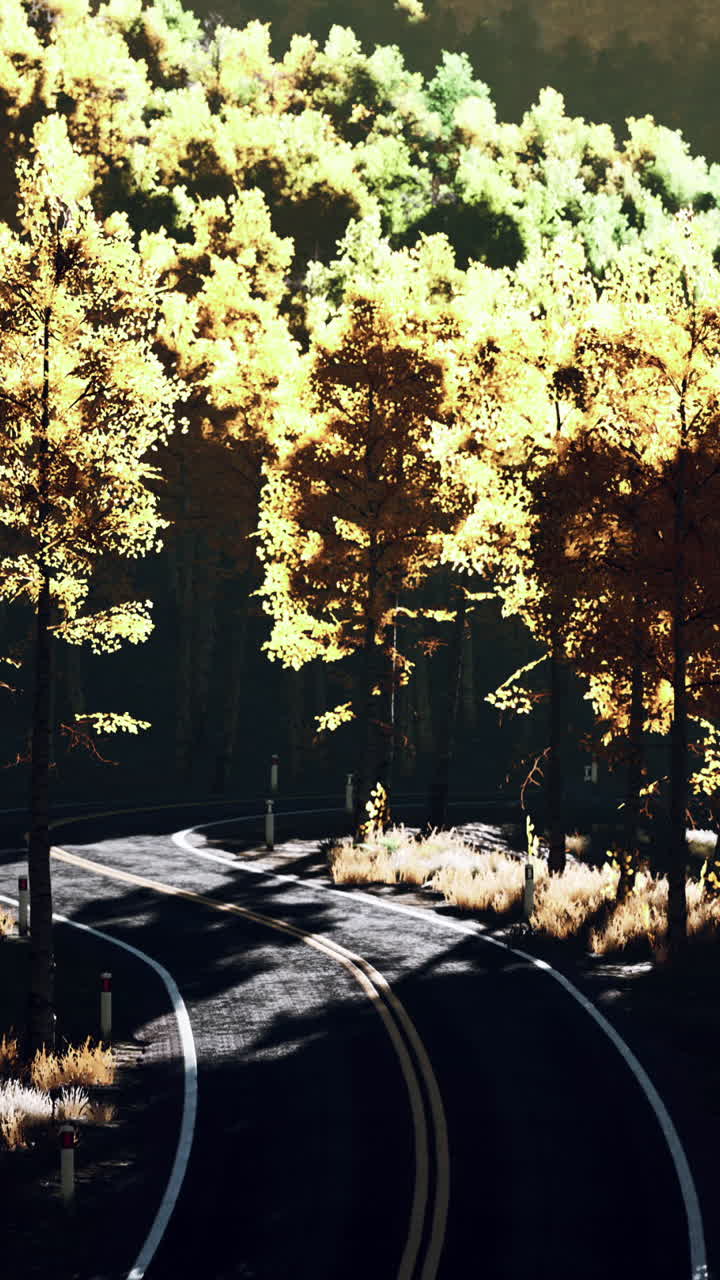 가을 에 숲 을 가로질러 휘어지는 길