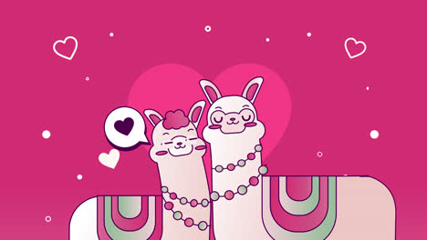 las lamas encantadoras enamoradas