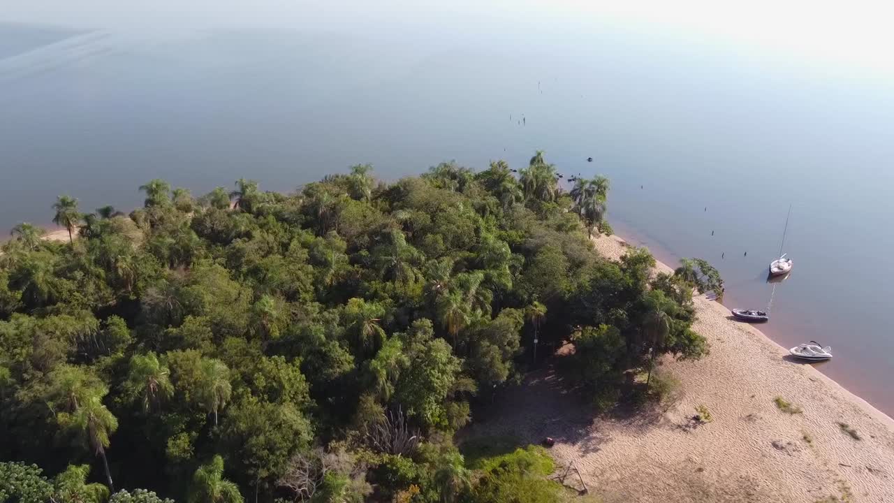 Palm trees on the small island &amp;quot;Isla del Medio&amp;quot; between the countries of Argentine and Paraguay