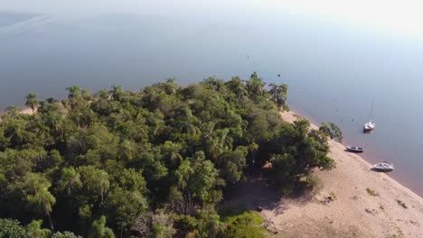 Palmen-Auf-Der-Kleinen-Insel-„Isla-Del-Medio“-Zwischen-Den-Ländern-Argentinien-Und-Paraguay