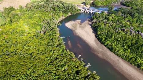drone footage captures a vibrant river winding through dense tropical greenery under bright daylight in port douglas