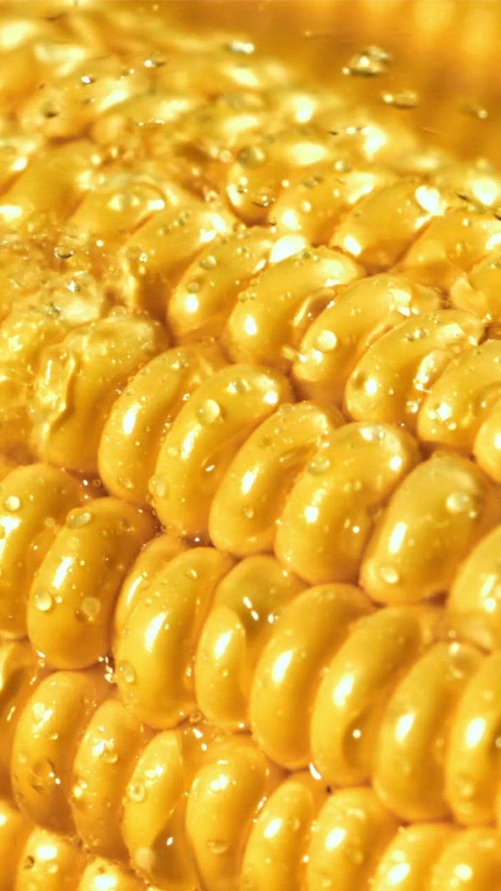 Primo piano di chicchi di mais giallo fresco con goccioline d'acqua