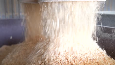sawdust falling from wood processing machine inside woodworking factory