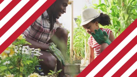 animación de la bandera de los estados unidos de américa sobre un padre y una hija afroamericanos que hacen jardinería