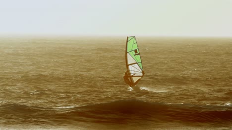 Male surfer windsurfing in the beach 4k