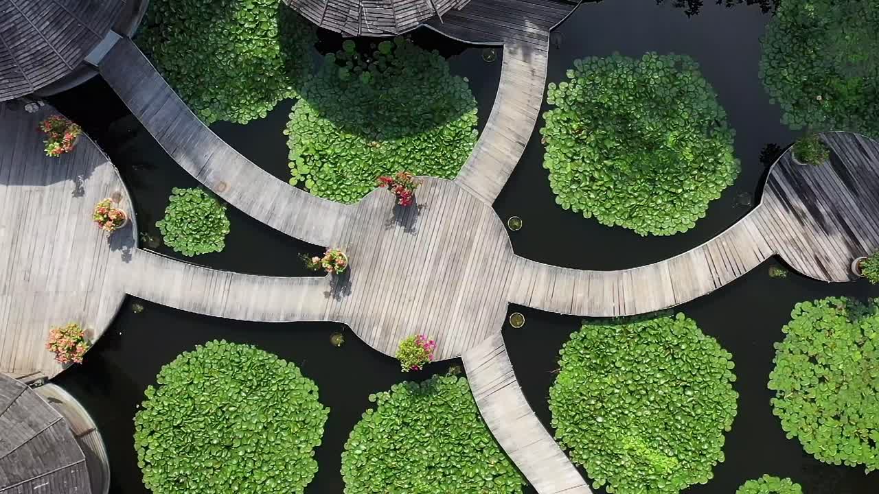 hotel de lujo en maldivas con un estanque lleno de lirios