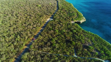 Car-drives-on-shaded-road-along-caribbean-island-scenic-coastline-scrub-tree-landscape,-drone-rear-view-tracking