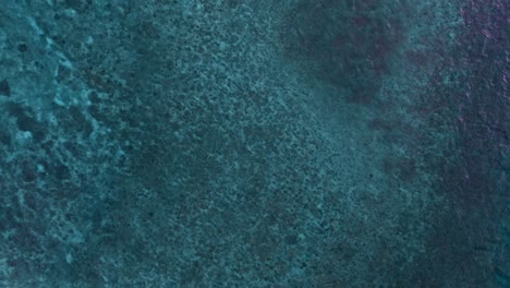 slow zoom panoramic shot of coral reef in okinawa, japan
