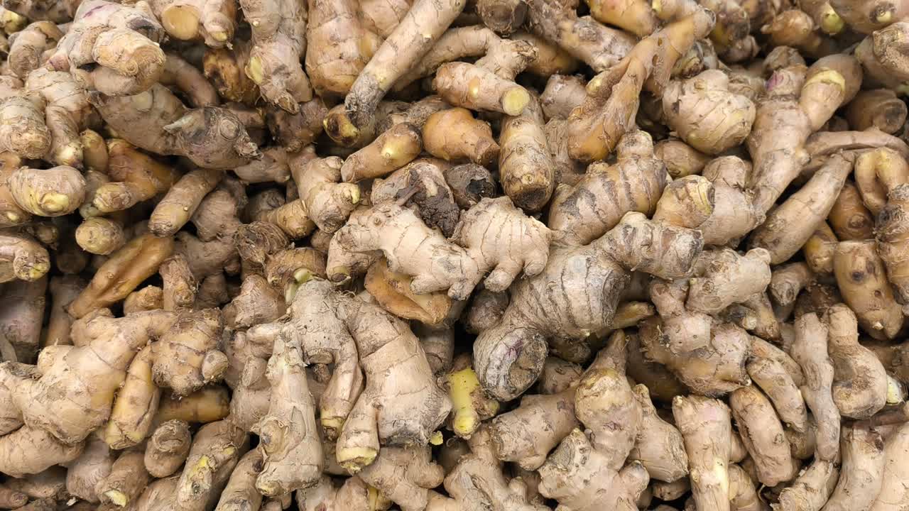 Frische, nasse Ingwerwurzeln sind hoch auf einem Supermarktregal gestapelt. KundInnen können ihre bevorzugten Stücke selbst aussuchen. Der Großeinkauf ist für KäuferInnen sowohl bequem als auch erschwinglich.