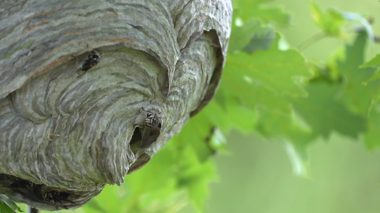 화염에 휩싸이려는 작은 담배 더미