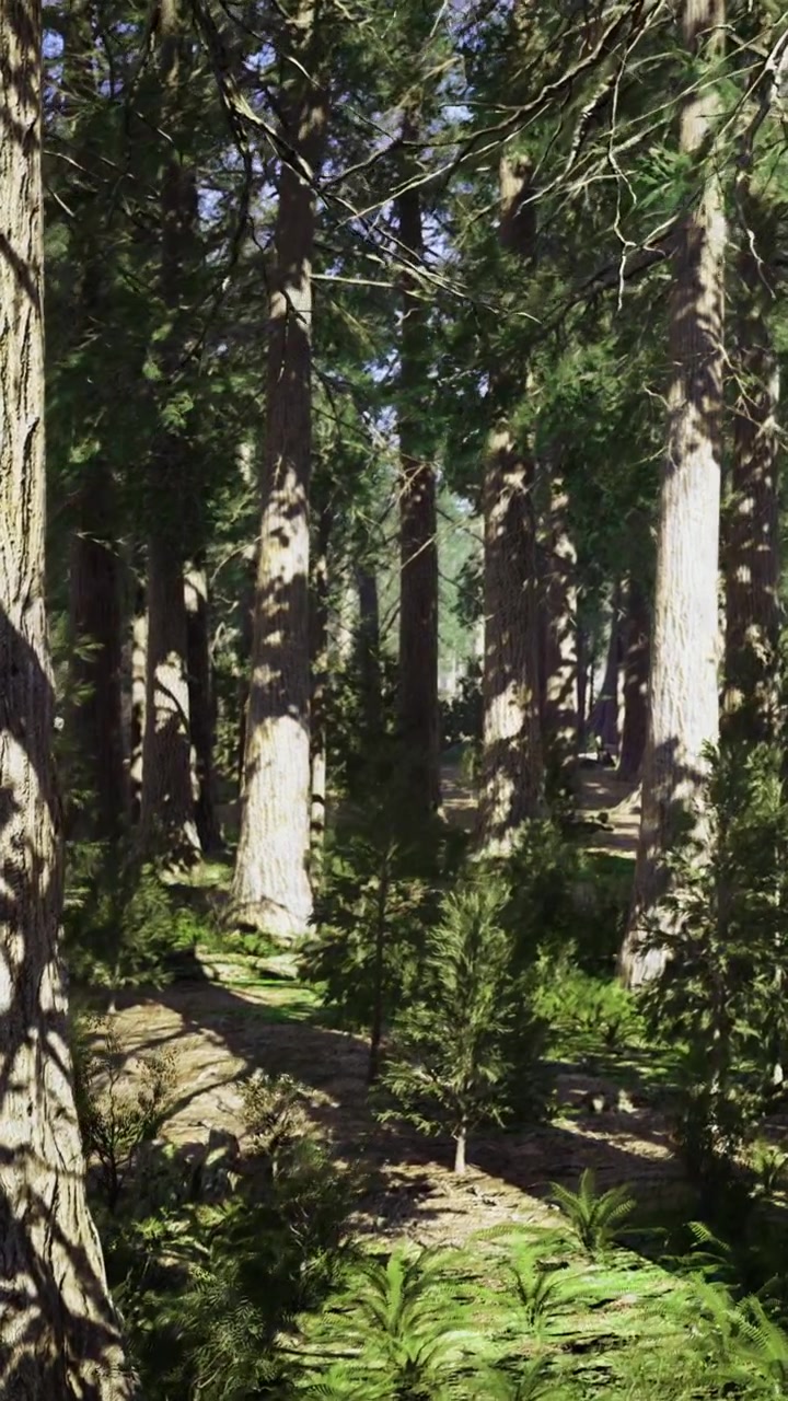Alberi alti che crescono in una fitta foresta, con la luce del sole che filtra tra le foglie.