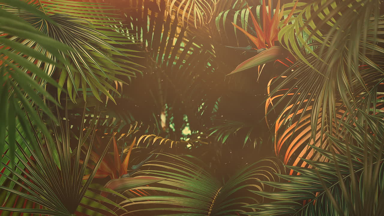 primer plano de hojas tropicales de árboles con fondo de verano 14