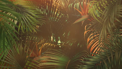 Closeup tropical leaf of trees with summer background 14