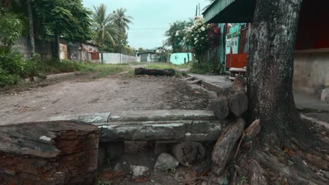 un banco de hormigón improvisado unido a un árbol bloquea el camino de tierra de un suburbio tranquilo en la ciudad de cádiz, negros occidentales, filipinas