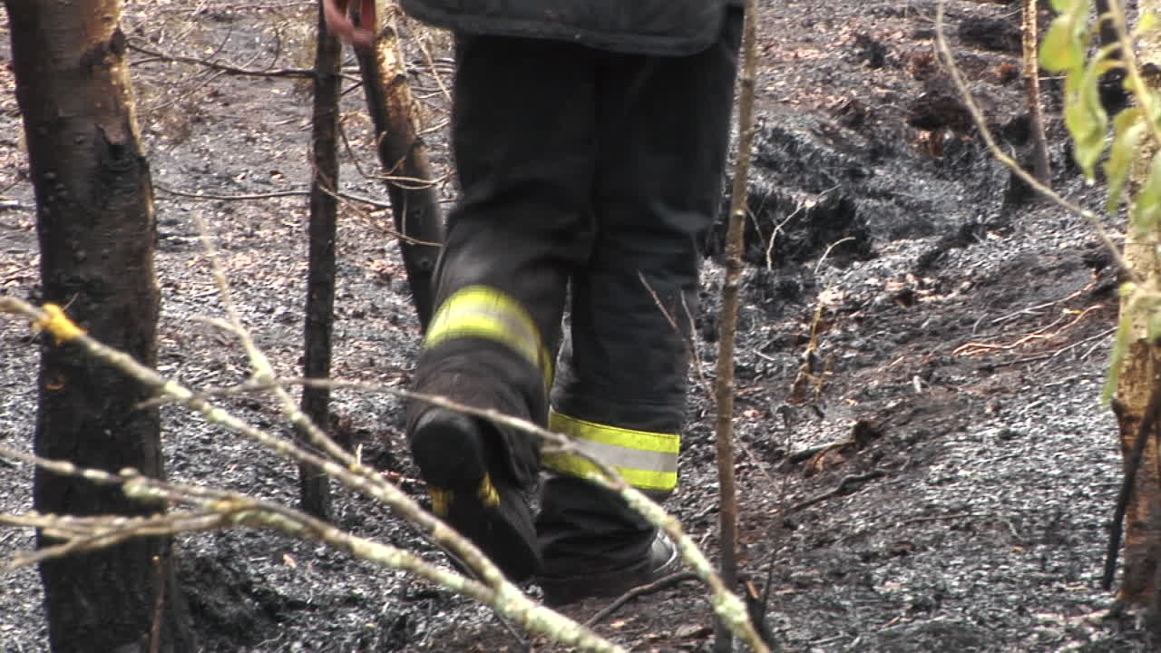 Feuerwehrmann läuft durch einen brennenden Wald.