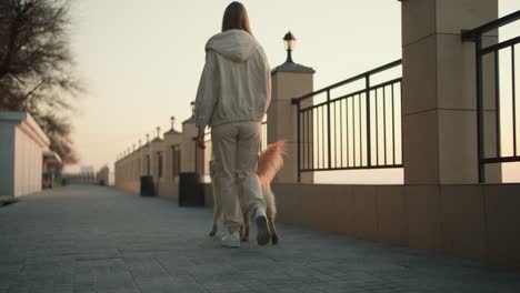 vista trasera de una niña con ropa ligera paseando a su perro por la mañana. maravillosa transfusión de rayos de sol y naturaleza por la mañana