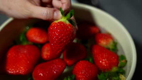 hand rinses ripe strawberries in bowl filled with clean water in closeup