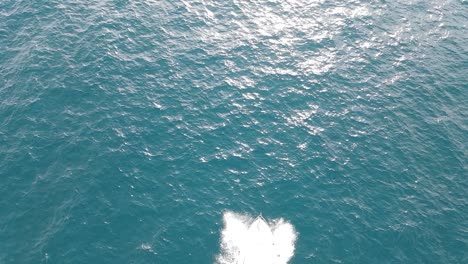 Aerial-views-of-boats-sailing-in-the-coast-nearby-Barcelona