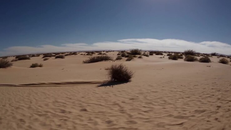 Rotolacampo che rotola attraverso un paesaggio desertico sabbioso in una giornata di sole