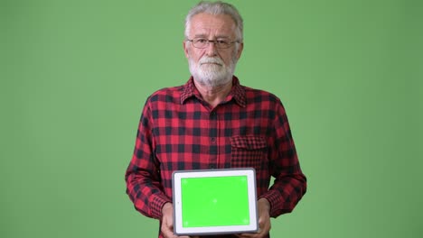 handsome senior bearded man against green background