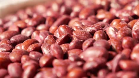 close-up of red beans