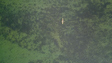 vista a vista de pájaro de un kayak en mar abierto