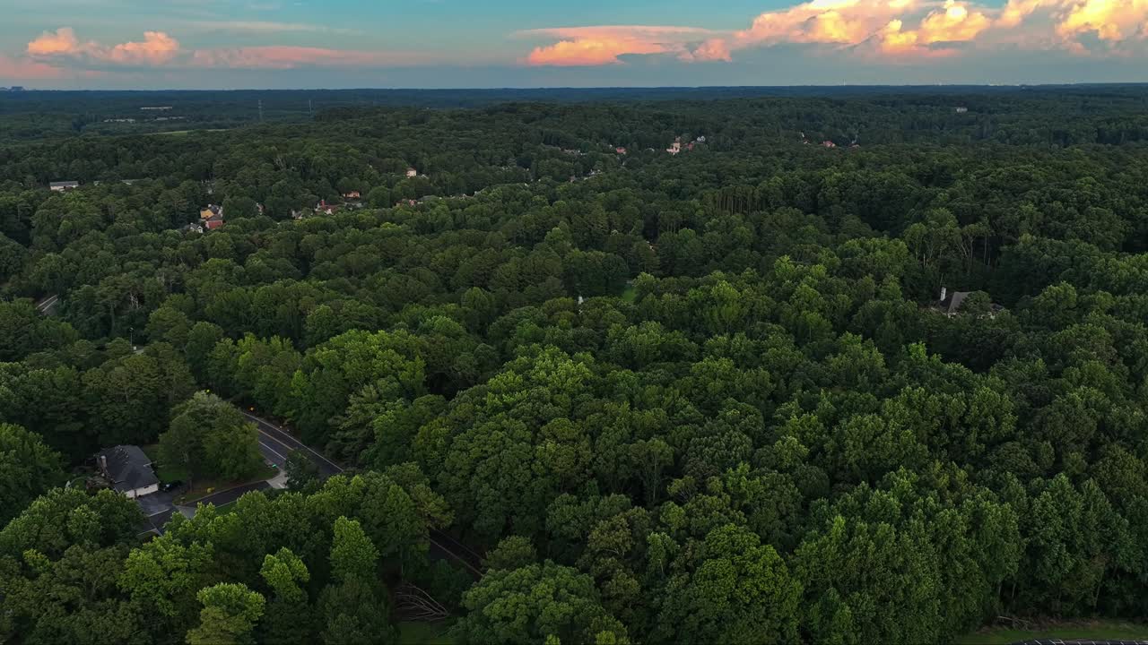 sobrevuelo aéreo árboles verdes del bosque y calle en el suburbio de atlanta durante la hora dorada en américa