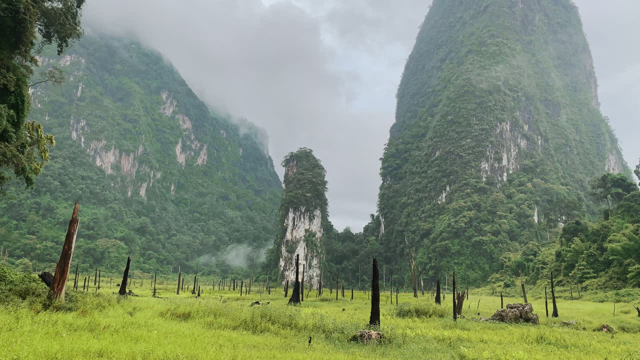 el parque nacional khao sok es una reserva natural en el sur de tailandia. vista panorámica durante un día místico de niebla.