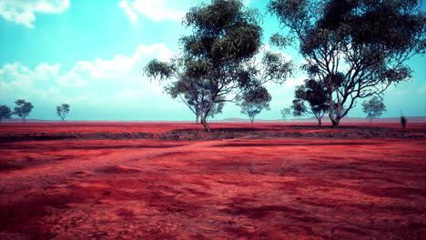 paisaje desértico de tierra roja con árboles y un camino