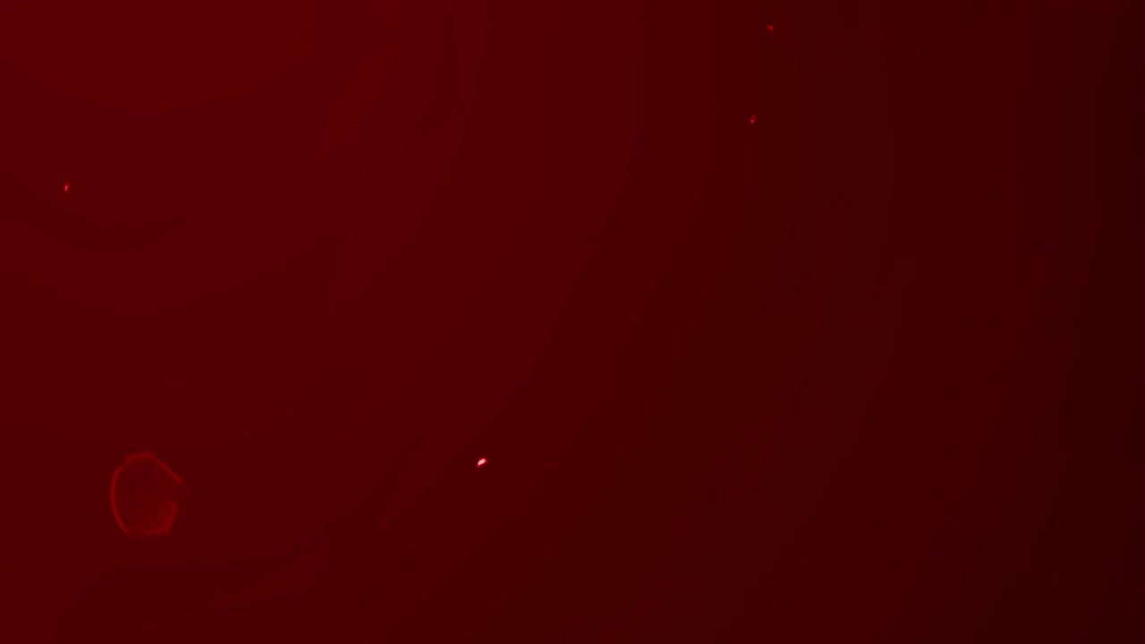 Fundo Vermelho Abstrato com Movimento de Luz Suave