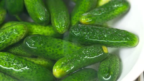 cucumbers are washed in clear water