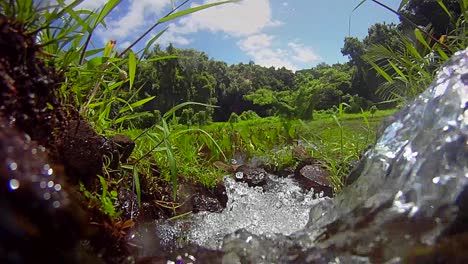 agua pura y limpia brota de una cascada