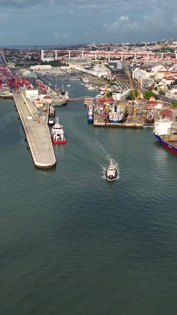 Una terminal de contenedores durante el día. Los barcos cargan y descargan contenedores de envío. El ajetreado muelle es esencial para el transporte marítimo y las actividades comerciales globales.