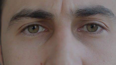 primer plano de los ojos de una persona